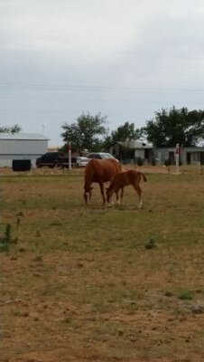 DunlapJackie's profile picture. 