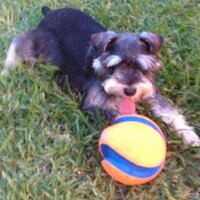 Mary-Ellen Hall (@mehallhbu) 's Twitter Profile