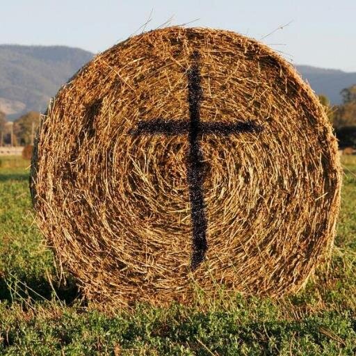 coachie19's profile picture. Cubs/Royals fan/Die-Hard Hawkeye/God's follower!! #NRA! #2A! #Pro-Life! Concerned for America!