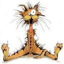 kathy bemis - @kappabee - Twitter