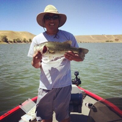 fishondotcom's profile picture. 