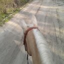 Amanda Langdon - @LangdonAmanda - Twitter