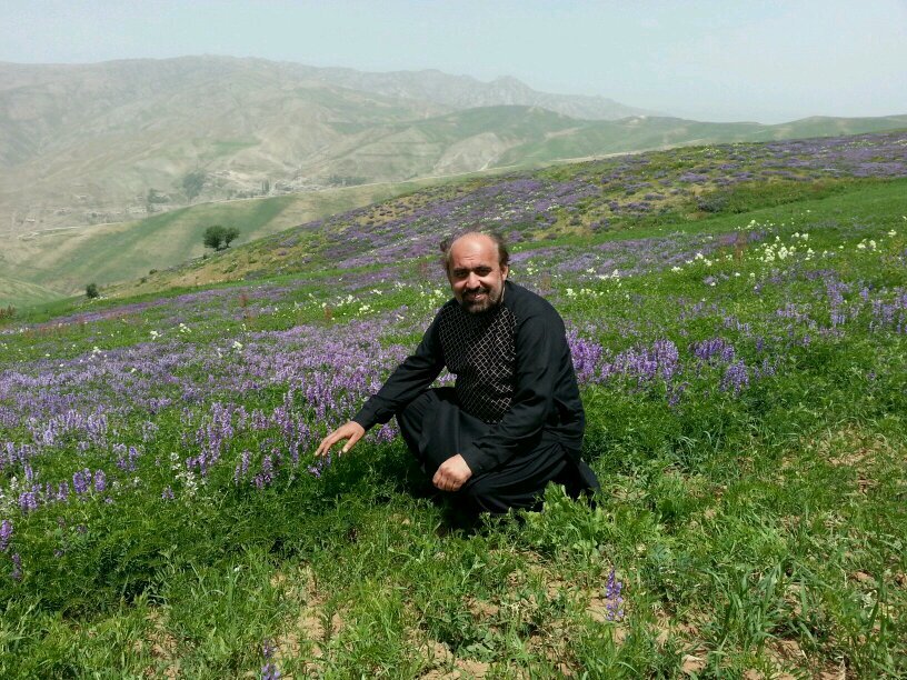 Journalist, writer and researcher from Afghanistan, based in Qatar. Working at Aljazeera Channel