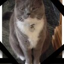 Lorna Alexander - @alexash52 - Twitter