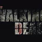 follow me and ill follow back