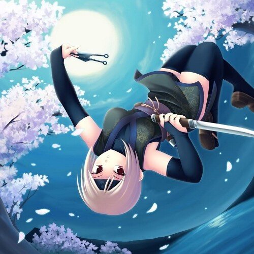 I'm Satomi a assassin and guard of Mulan #SINGLE #RP #ASSASSIN
