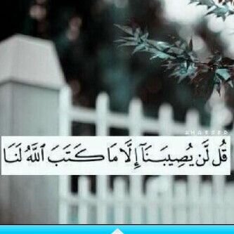‏لا يوجد شيء
