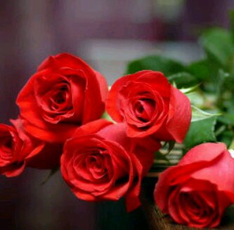 من حب حكى .. ومن اشتاق اتى ! عبود 23 سنه وكفى.         PIN:2AC91C95
