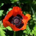 Wendi Jones - @birthbee - Twitter