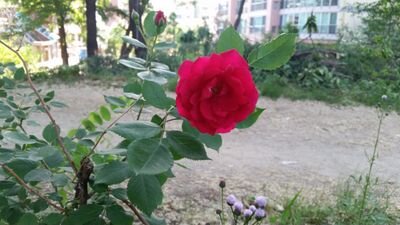 기업에 윤리의식 요청 /기술을 빼앗는 기업의 비윤리적인 행위를 알림/ 사회정의를 위한 트친들의 의견을 팔로우