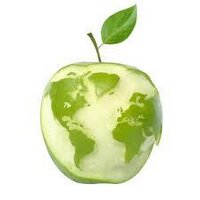 GREEN-PARTYMEXICO (@greenmigrparty) 's Twitter Profile