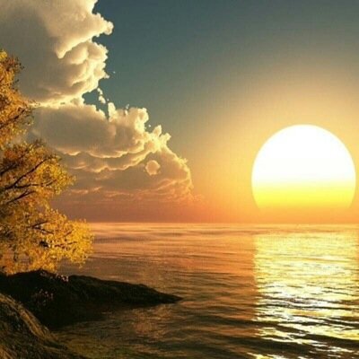 hassan82h's profile picture. 