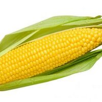 a corn (@maizedontblaze) 's Twitter Profile