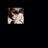 231392's profile image