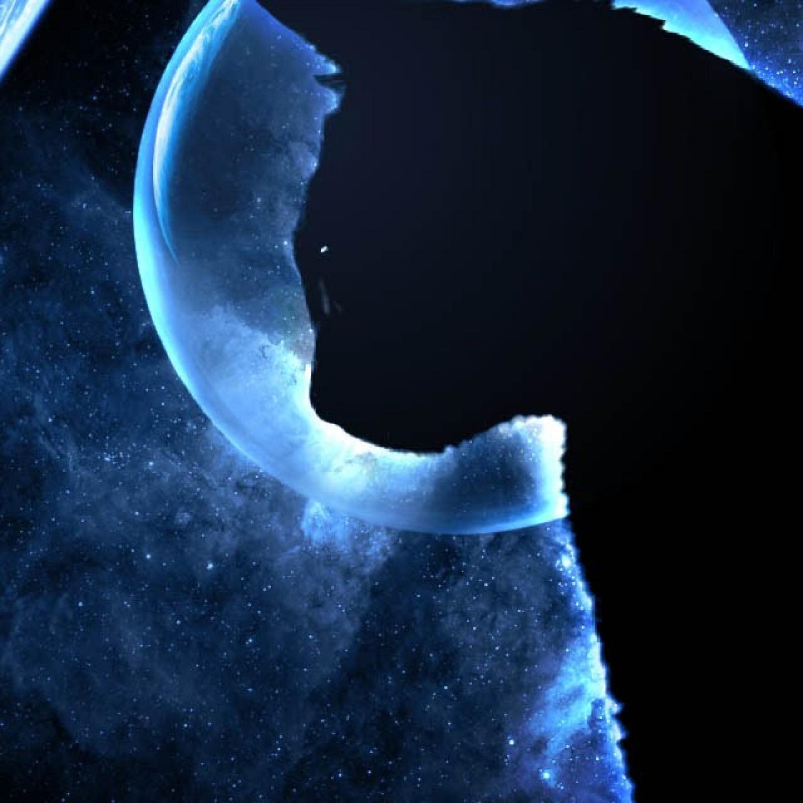 Space Cat Dynasty