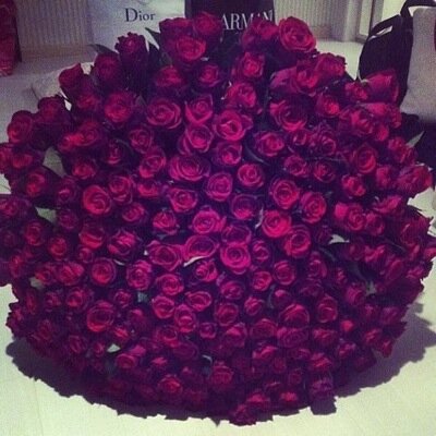 صديقتي يبدو ان هذه الحياة قصيره جداً ولا تسعنا اريدك معي في نعيم جنانه.