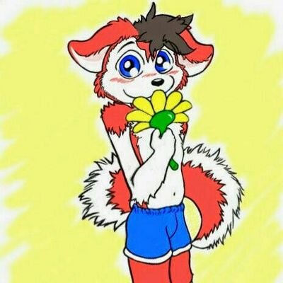 I dunno whut dis is but if yew can figure it out I'll give ya a cookie =3
