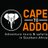 CapeToAddo's profile image