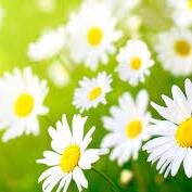 missmobrien's profile picture. 