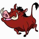 chmielo_k's profile picture. 