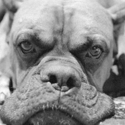 DonaldMas's profile picture. depende de Ti .