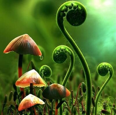 Welcome to the official profile of @ naturalpicz for verities of new pics in our earth.