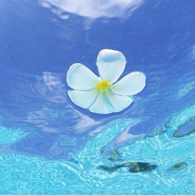 nq0625ko's profile picture. 21歳。沖縄、離島、海、自然、動物。そしてとっても三線の音色がだいすきです。ぜひ趣味の合う人はなかよくしてください(*^_^*)