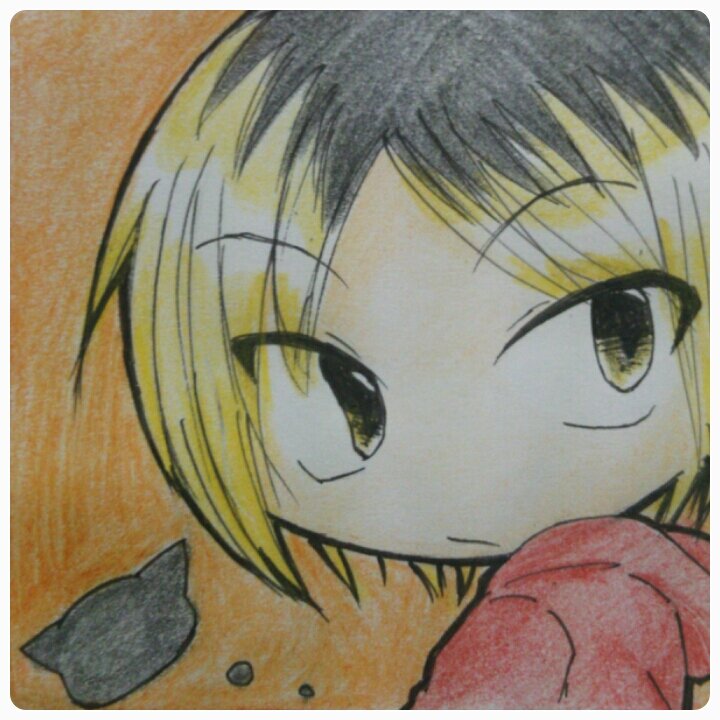 たな汰さんのプロフィール画像