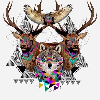 chocdubstep's profile picture. Youtube channle bluesky7891 share with @elijjahcohen4 Kik. me dubstep barker