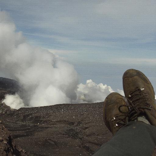 axlrequiem's profile picture. One Piece