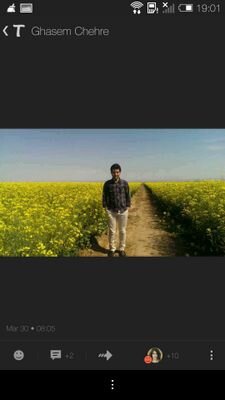 Ghasemchehre's profile picture. 