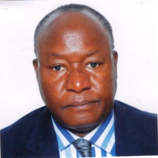 Former UNIDO Representative in Guinea, Liberia and Sierra Leone from February 2010 to October 2015