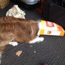 Will Proctor - @WillJoy33 - Twitter