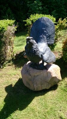 SquashedFrogger's profile picture. Husband, number maker, Mexican food afficionado. All opinions 'borrowed' and passed off as original.