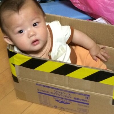 💎🐬のファン 今村佳太推し 息子は聖芽推し 嵩都くんも推し というか💎🐬が好き。 🏀できないけど楽しい ドルファミと繋がりたい イーグルスのボランティアやってます。 仕事は介護士やりがいあるが給料安い💦💦 ヨガもやるよー。資格も取った。無言フォローお許しください🙏🙏