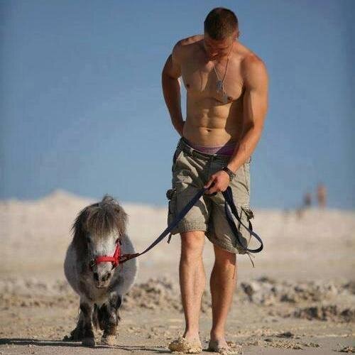 lover of death ....I hated life   ...............   Work Horse Training