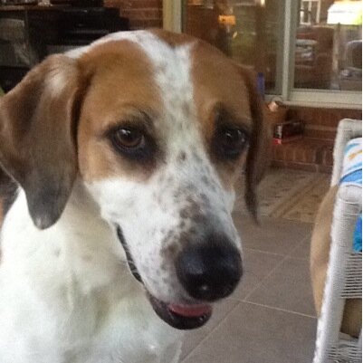 MaMdreidy's profile picture. 