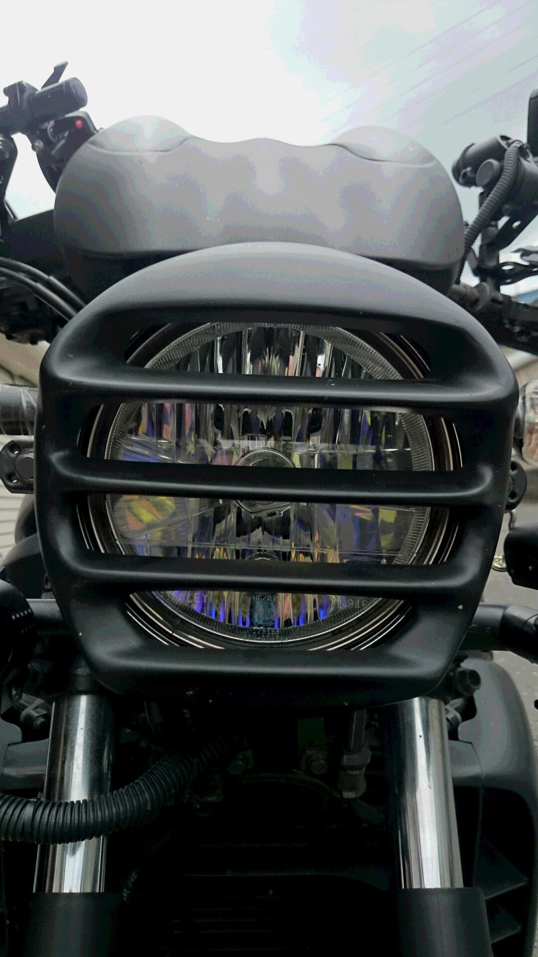 X11_ZH2's profile picture. 。