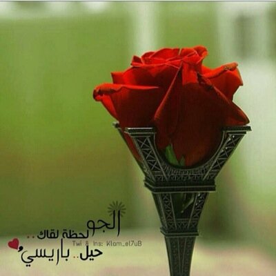 اذكروني بدعوة لعلكم إلى الله مني أقرب💕