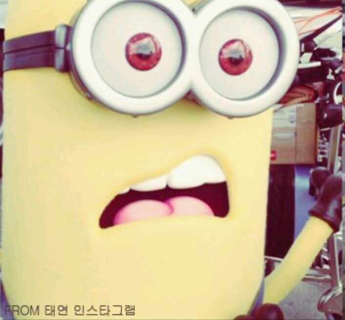 AmniAmran's profile picture. ^Amni Amran. Newbie here. Mind Followback?