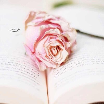 و غاية أمانينا جَنة لا نعرف فيها إلا النعيم ♡♡ اتق الله حيثمآ كُنت