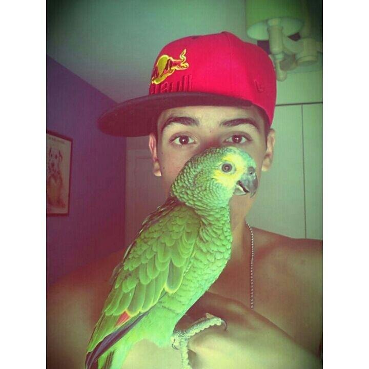 |97| Amante de los animales y la naturaleza. Instagram: @27sergio97 @guajar_photo (dedicada a fotografia animal). Youtube: 27sergio97