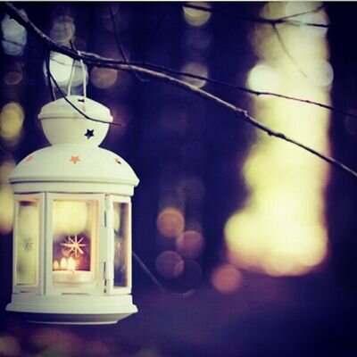 صورة ذات صلة