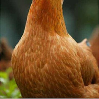 Rentyon9's profile picture. 語彙力語彙力語彙力語彙力語彙力語彙力語彙力語彙力語彙力語彙力語彙力語彙力語彙力語彙力語彙力語彙力語彙力語彙力語彙力語彙力語彙力語彙力語彙力語彙力語彙力語彙力語彙力語彙力語彙力語彙力語彙力語彙力語彙力語彙力語彙力語彙力語彙力語彙力語彙力語彙力語彙力語彙力語彙力語彙力語彙力語彙力語彙力語彙力語彙力語彙力語彙力語彙力語彙力