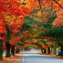 Aurora Llamas - @apllamas888 - Twitter