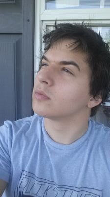 foxnull778's profile picture. Bio causes poison.