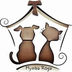 Enfocados en salvar vida animal ❤ consultas y donaciones al 0981838763 / Fan page: Mymba Roga - San Francisco de de Asis/ Instagram @mymbarogaa