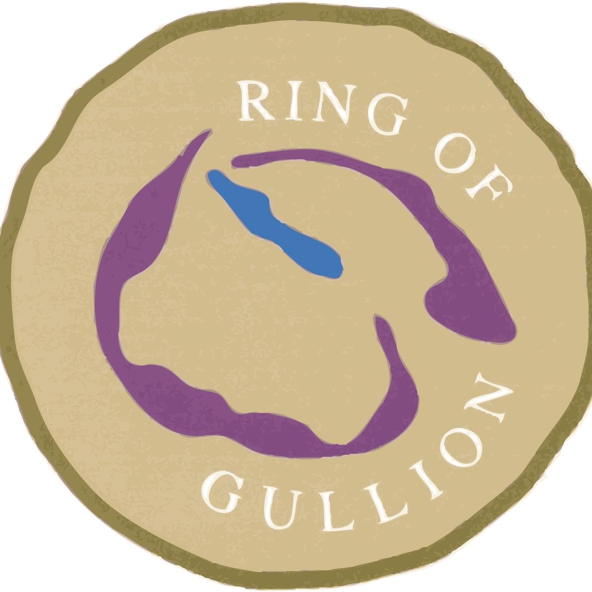 Ring Of Gullion Profile