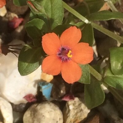 keen birder. gardener with an interest in all things wild.