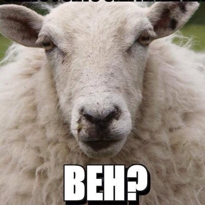 OttavioCrovetti's profile picture. Felice Papà di Sofia, tifoso del Milan, Italiano convinto che possiamo farcela!